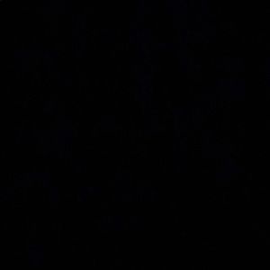 Meet your Posher, Cammie